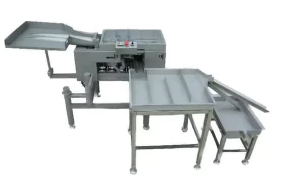 YK-2 Yumurta Kırma Ve Ayırma Makineleri