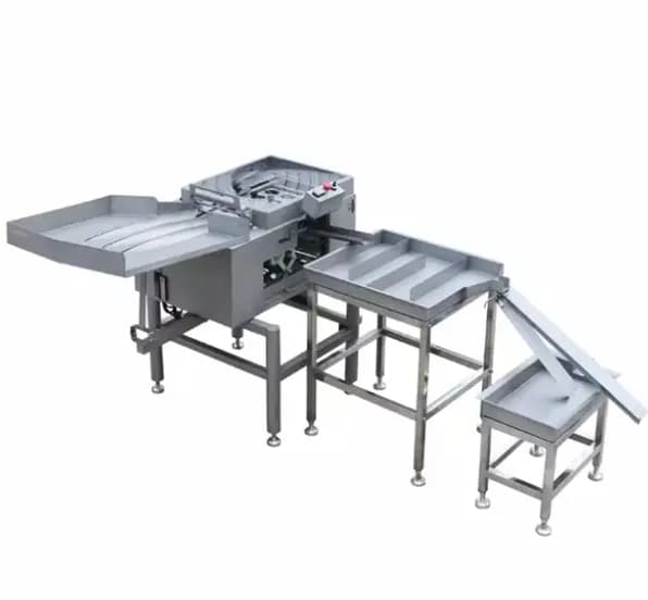 YK-3 Yumurta Kırma Ve Ayırma Makineleri